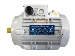 SCHEPPACH - Moteur 230V Monophasé 0.98 KW Pour Combiné Scheppach, Kity Et Woodster -Scheppach Soldes Magasin SCHEPPACH Moteur 230V monophase 0 98 kW pour combine Sch