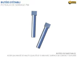 ETABLIS FRANCOIS ÉTABLIS FRANÇOIS - PM Paire De Poteaux De Serrage Petit Modèle ø15 Mm - Acier Galvanisé