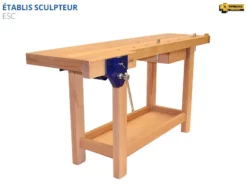 ETABLIS FRANCOIS - ESC Etablis Sculpteur / Luthier Avec Presse Avant à Serrage Rapide PR52 (presse Avec Système De Débrayage Rapide Et Automatique)