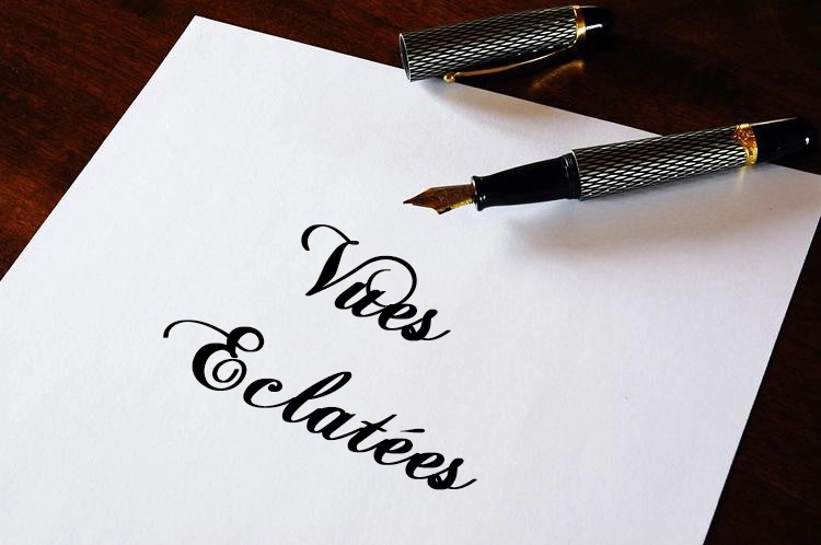 Vue éclatéee MS305DB 1 Vue éclatéee MS305DB